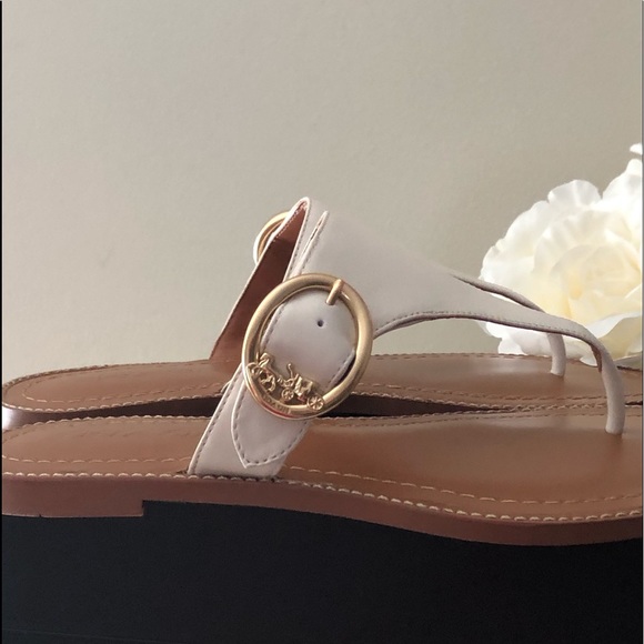 🎀 NEW!!Coach Lesli Monogram Buckle Sandals - Picture 3 of 16